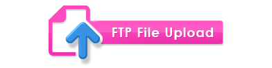 File Upload